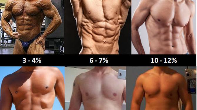 Calculate fat and muscle in the body