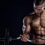 The Ideal Gym Workout Program for Men - A Plan for Total Body Transformation