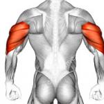 Extension of arms in a triceps block - the best variations of the exercise